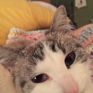 Meet your Posher, Jen